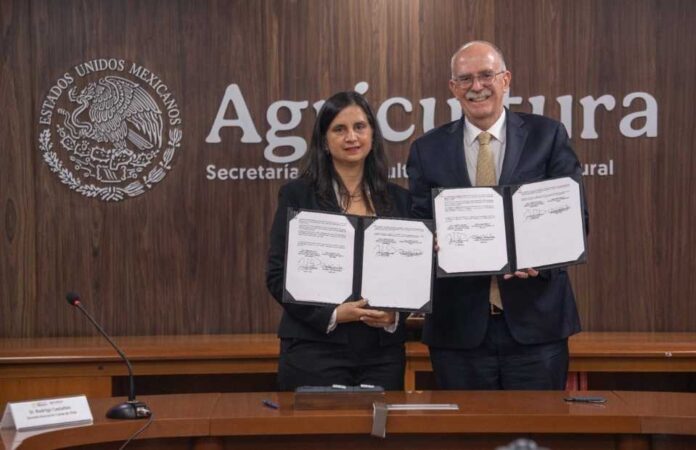 Chile y México acordaron la apertura de mercado para las naranjas chilenas