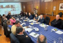Comisión Nacional del Maíz analiza perspectivas de mercado y modernización estadística