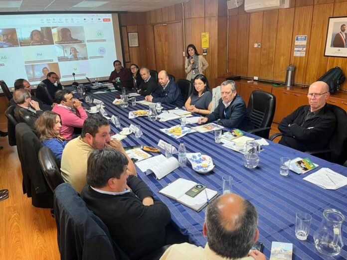 Comisión Nacional del Maíz analiza perspectivas de mercado y modernización estadística