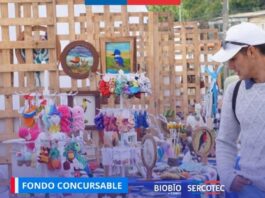 Comité CORFO Biobío y Sercotec abre nuevas convocatorias para fortalecer micro y pequeñas empresas de la región
