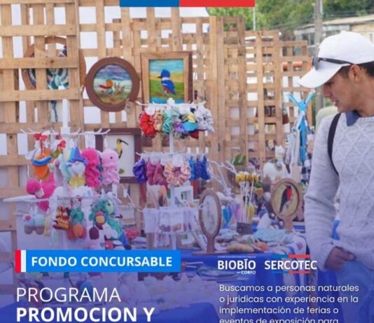 Comité CORFO Biobío y Sercotec abre nuevas convocatorias para fortalecer micro y pequeñas empresas de la región
