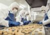 ¿Cómo mantiene Chile su liderazgo como potencia alimentaria mundial? Las últimas tendencias de la industria