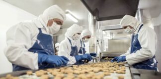 ¿Cómo mantiene Chile su liderazgo como potencia alimentaria mundial? Las últimas tendencias de la industria