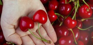 Copeval Lidera la Solución al Estrés Abiótico en Cerezos con una Estrategia Integral "Juntos somos Líderes"