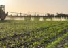 DeepAgro revoluciona la agricultura en América Latina con tecnología NVIDIA