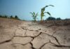 Déficit de lluvias marca un invierno frío y proyecta primavera seca y calurosa