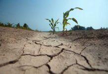 Déficit de lluvias marca un invierno frío y proyecta primavera seca y calurosa