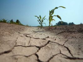 Déficit de lluvias marca un invierno frío y proyecta primavera seca y calurosa