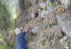 Desaparición silenciosa de la biodiversidad