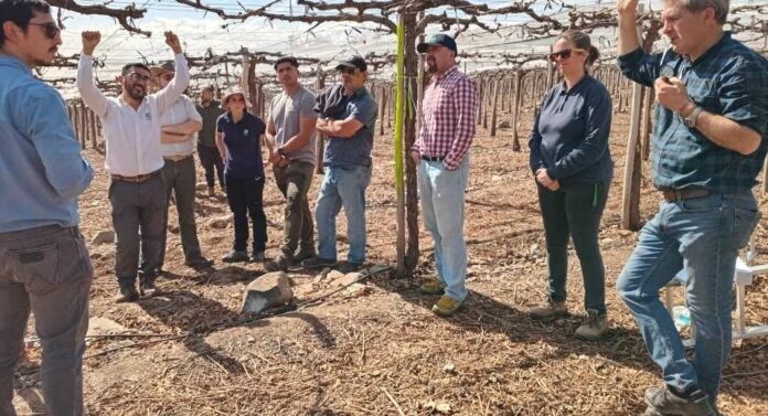 Día de campo en Agrícola Frontera presentó tecnologías para un riego eficiente en uva de mesa