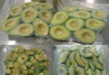 El agro peruano conquista a China: debut de la palta congelada en Shanghái