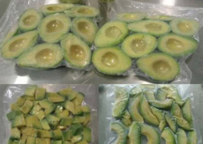 El agro peruano conquista a China: debut de la palta congelada en Shanghái
