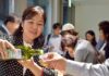 El crecimiento imparable del Aceite de Oliva Virgen Extra en Japón