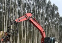 El empleo de excavadoras garantiza productividad y ahorro en áreas forestales (1)