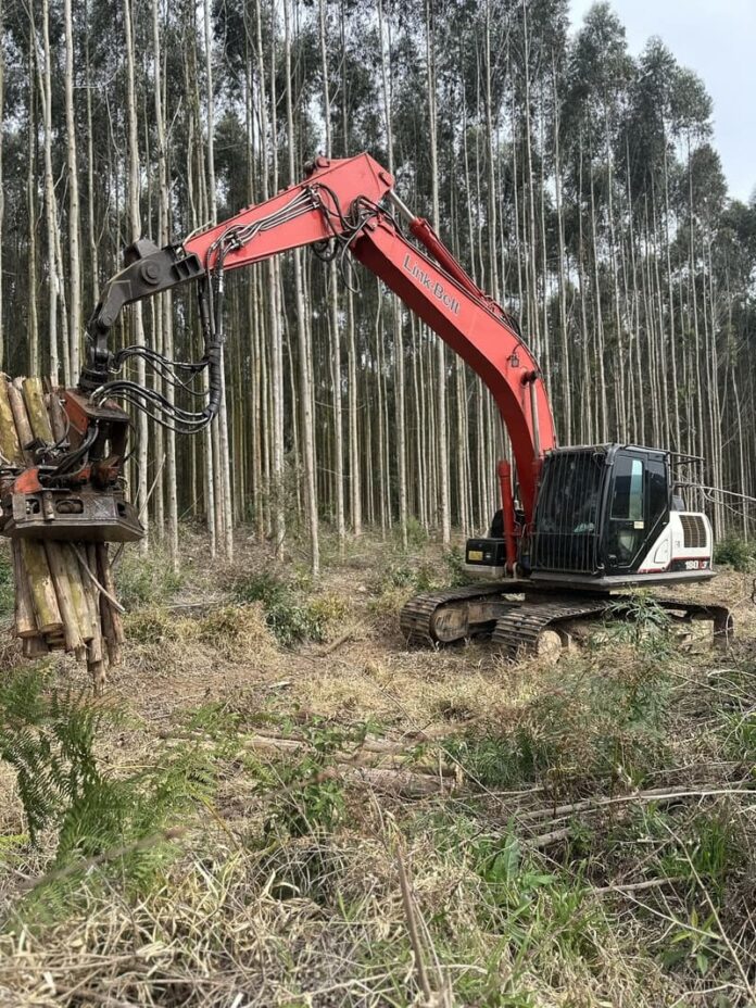El empleo de excavadoras garantiza productividad y ahorro en áreas forestales (1)