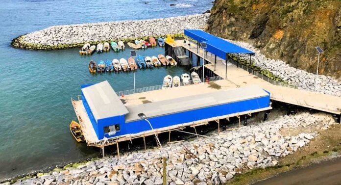 El innovador y ambicioso plan de Diego Morandé para expandir el legado de la constructora Sicomaq