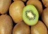 El kiwi chileno acelera su expansión global: India y Brasil lideran el consumo
