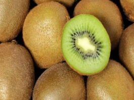 El kiwi chileno acelera su expansión global: India y Brasil lideran el consumo