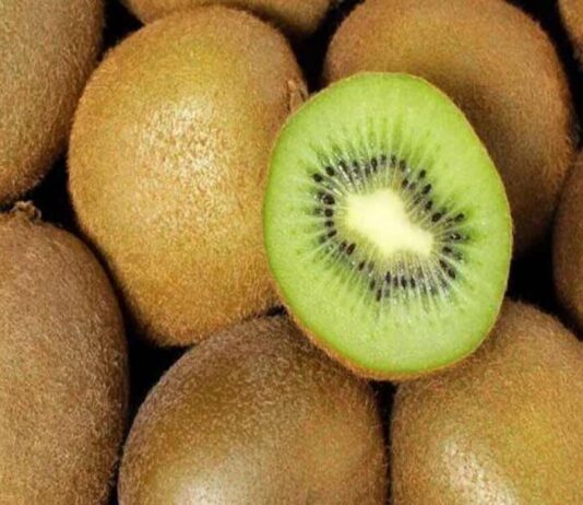El kiwi chileno acelera su expansión global: India y Brasil lideran el consumo