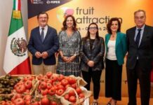 El tomate será la estrella de Fruit Attraction 2025 El tomate será la estrella de Fruit Attraction 2025