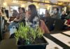 En seminario organizado por INIA-FIA: Región de Magallanes proyecta a la salicornia como nuevo recurso alimentario sostenible
