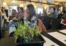 En seminario organizado por INIA-FIA: Región de Magallanes proyecta a la salicornia como nuevo recurso alimentario sostenible