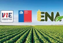En septiembre parte la Encuesta Nacional Agropecuaria 2025, una nueva herramienta clave para la generación de estadísticas agropecuaria