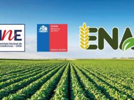 En septiembre parte la Encuesta Nacional Agropecuaria 2025, una nueva herramienta clave para la generación de estadísticas agropecuaria