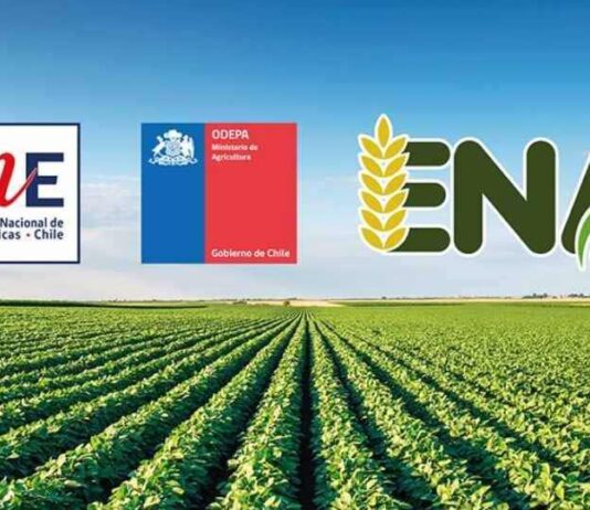 En septiembre parte la Encuesta Nacional Agropecuaria 2025, una nueva herramienta clave para la generación de estadísticas agropecuaria