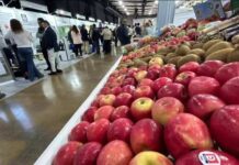 Expo Agrofuturo en Medellín, con más de 350 expositores y representantes de Brasil, Chile y China