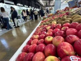 Expo Agrofuturo en Medellín, con más de 350 expositores y representantes de Brasil, Chile y China
