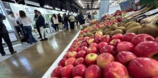 Expo Agrofuturo en Medellín, con más de 350 expositores y representantes de Brasil, Chile y China