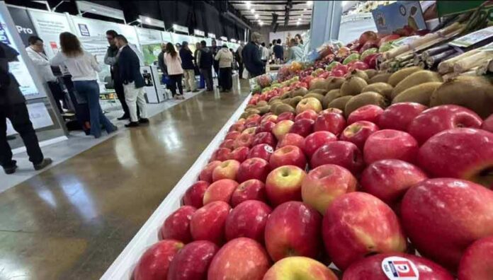 Expo Agrofuturo en Medellín, con más de 350 expositores y representantes de Brasil, Chile y China