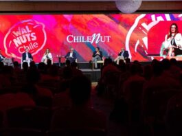 Exponut 2025: Clima y mercados marcarán la agenda de la principal convención de la Industria de la Nuez