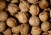 Exportaciones de nueces chilenas crecen un 45% y conectan con nuevos mercados