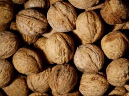 Exportaciones de nueces chilenas crecen un 45% y conectan con nuevos mercados