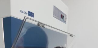 Del laboratorio a la industria: INIA La Platina presenta técnica que detecta enzimas microbianas de forma más económica
