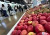 Fruittrade 2025 reunirá a empresas y profesionales del mundo frutícola el 22 y 23 de octubre en Espacio Riesco