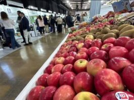 Fruittrade 2025 reunirá a empresas y profesionales del mundo frutícola el 22 y 23 de octubre en Espacio Riesco
