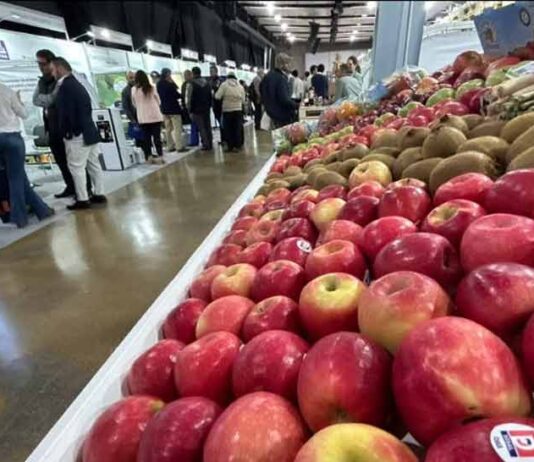 Fruittrade 2025 reunirá a empresas y profesionales del mundo frutícola el 22 y 23 de octubre en Espacio Riesco