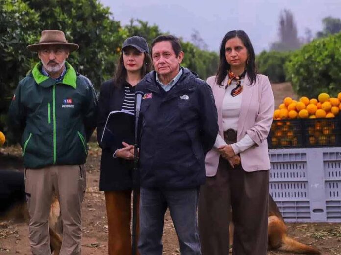 Frutas de Chile celebra ingreso de las naranjas chilenas al mercado mexicano