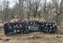 Fundación Reforestemos consolida más de una década restaurando la Patagonia