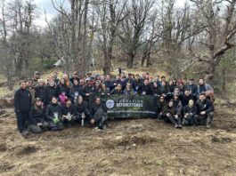 Fundación Reforestemos consolida más de una década restaurando la Patagonia
