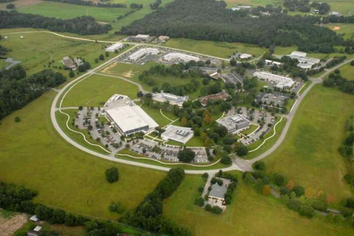 De Hijuelas a EE.UU.: Grupo Hijuelas se expande a Florida para liderar la innovación global
