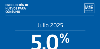 La producción de huevos de consumo presentó un aumento interanual de 5,0% en julio de 2025