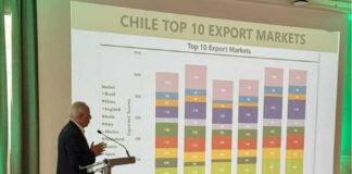 IKO 2025: Frutas de Chile y Comité del Kiwi participan en gran evento de la industria mundial del kiwi