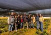 Importadores de Brasil y Estados Unidos visitaron O’Higgins para conocer la producción y oferta de peonías