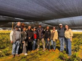 Importadores de Brasil y Estados Unidos visitaron O’Higgins para conocer la producción y oferta de peonías