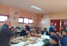 Innovación y economía circular: Aysén busca modernizar su cadena de la madera con gira tecnológica del PDT de Corfo en Valdivia