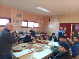 Innovación y economía circular: Aysén busca modernizar su cadena de la madera con gira tecnológica del PDT de Corfo en Valdivia